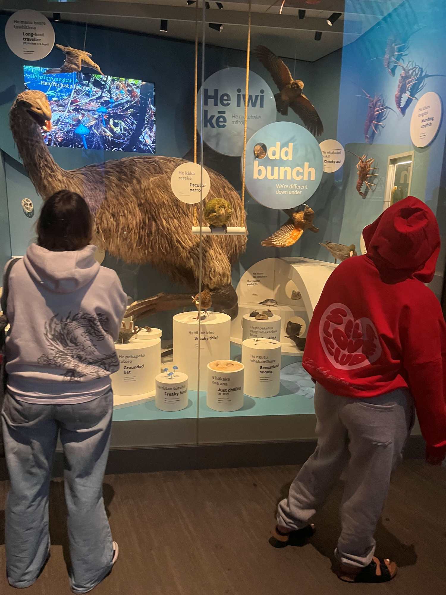 Te Papa
