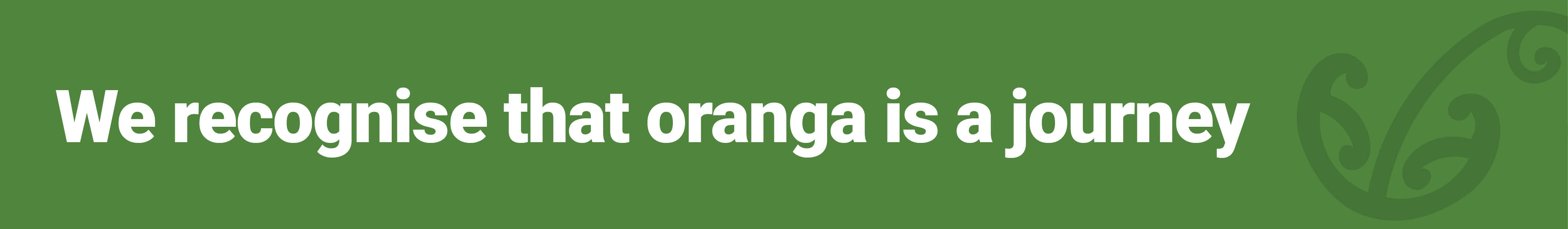 We recognise that oranga is a journey